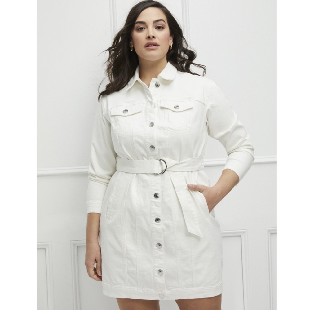 Eloquii Elements Denim Dress